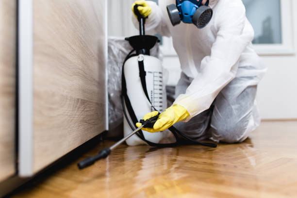 Best Wildlife Control Services  in Dawsonville, GA