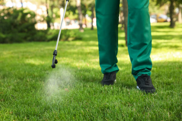 Pest Control for Restaurants in Dawsonville, GA